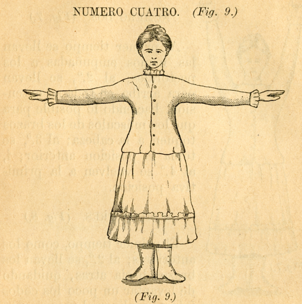 Manual de Gimnasia Escolar para uso de las Escuelas de Instrucción Primaria (1886). Cuarto movimiento de brazos