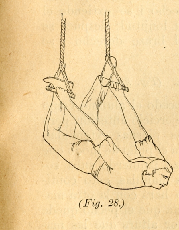 Manual de Gimnasia Escolar para uso de las Escuelas de Instrucción Primaria (1886). Ejercicio con manillas chilenas