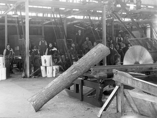 Trabajadores de la industria de fósforos de Talca, 1935