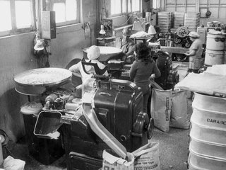 Trabajadoras Industrias Calaf. 1972